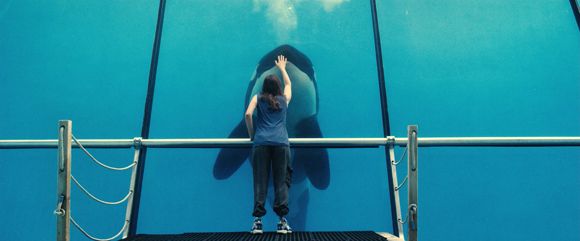 Risultati immagini per rust and bone