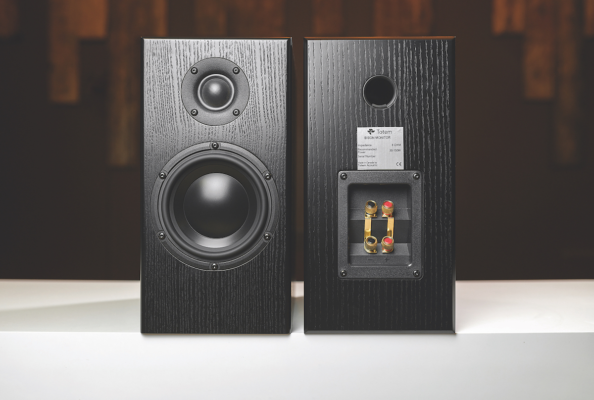 Totem sales speakers price