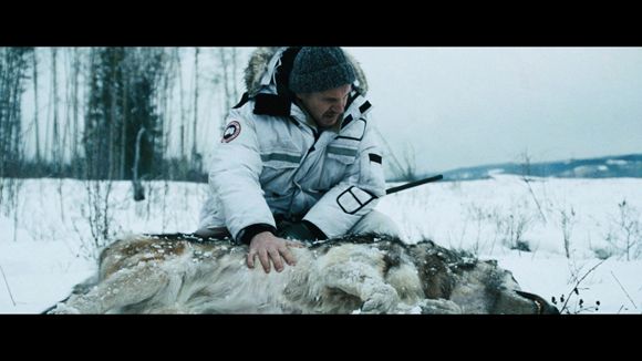 The Grey | Home Cinema Choice